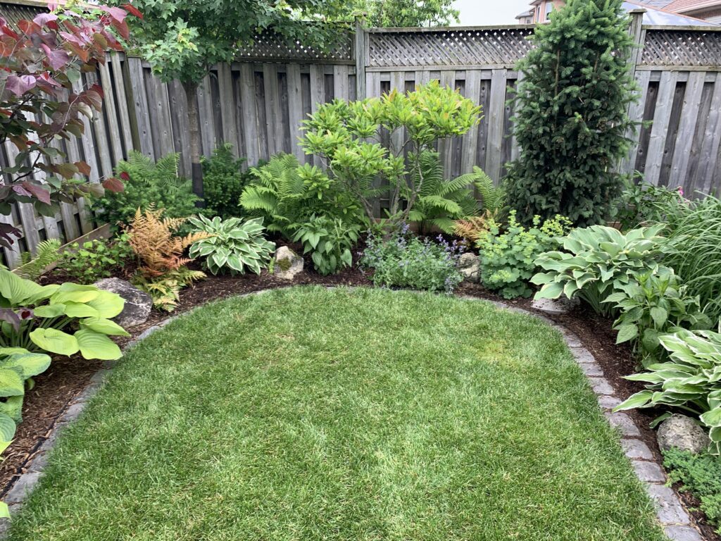 High quality garden planning with unique trees and perennials in Caledon