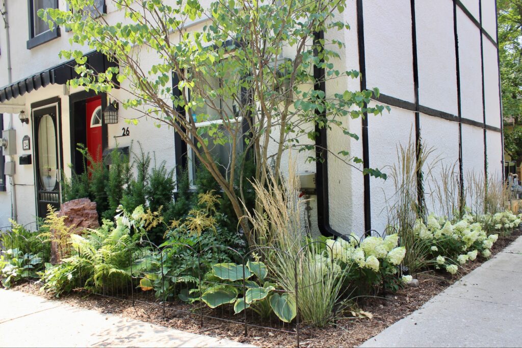 Classic garden design on budget for Guelph, Elora and Fergus