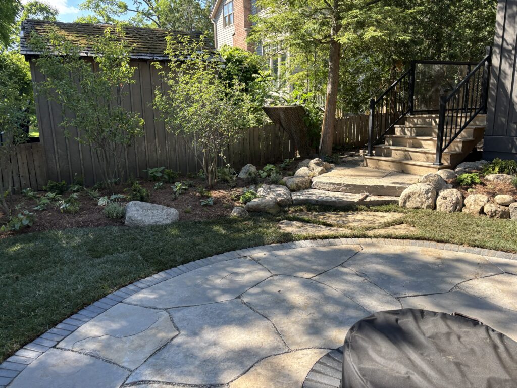 Backyard perennial and tree garden